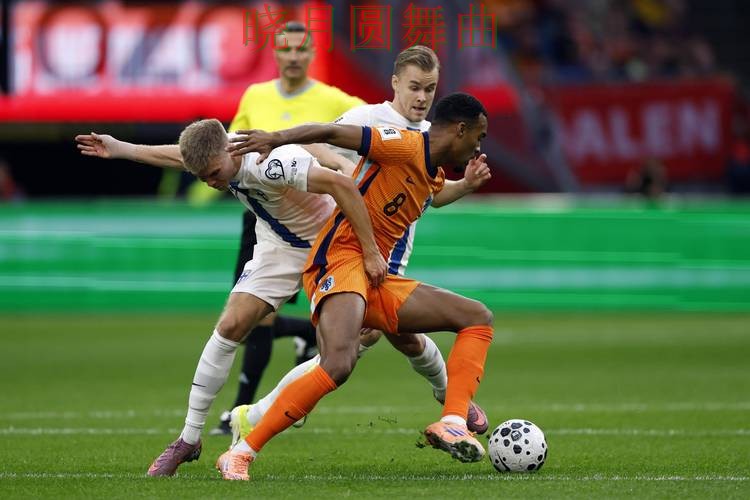 世界杯买球平台荷兰赛事热度为什么这么高